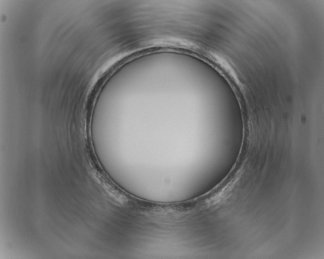 X0000089860931200706281006