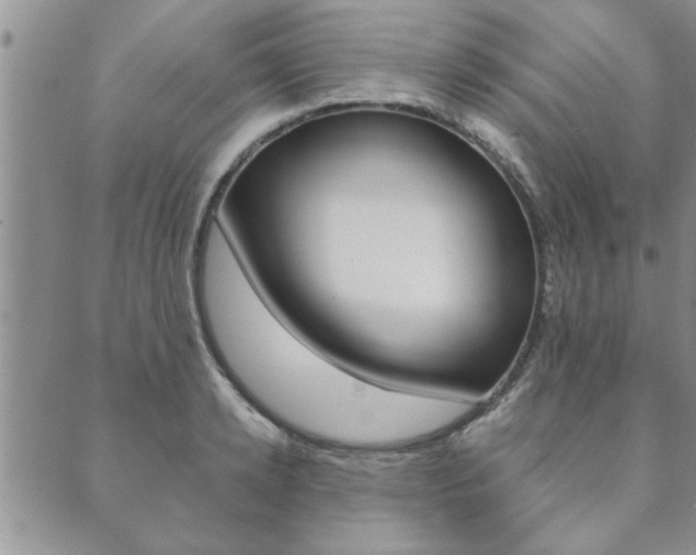 X0000089860942200706281006