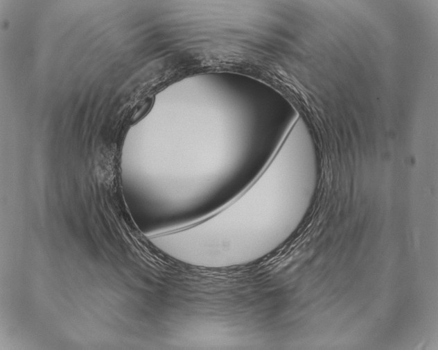 X0000089861012200706281004