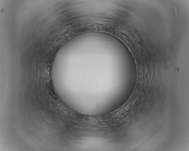 X0000089861013200706281004