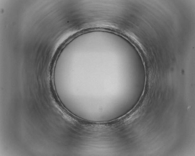 X0000089861024200706281004