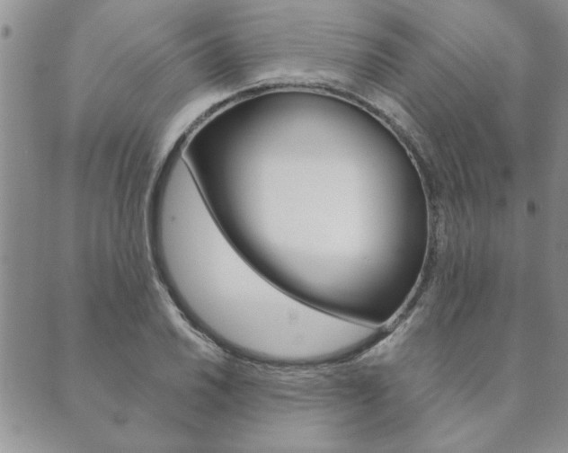 X0000089861030200706281004