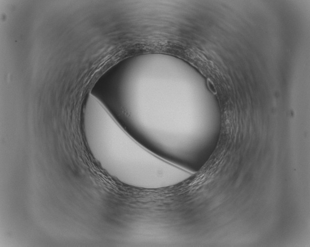 X0000089861057200706281004
