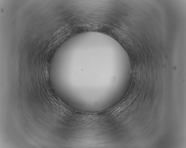 X0000089861058200706281004