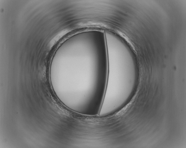 X0000089861066200706281004
