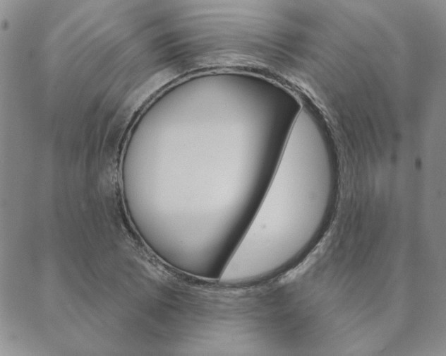 X0000089861073200706281003