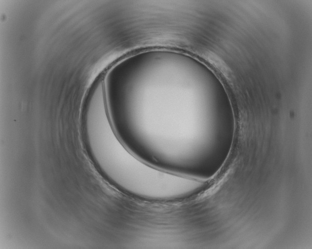 X0000089861077200706281003