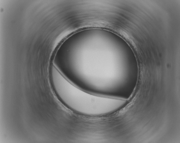 X0000089861085200706281003
