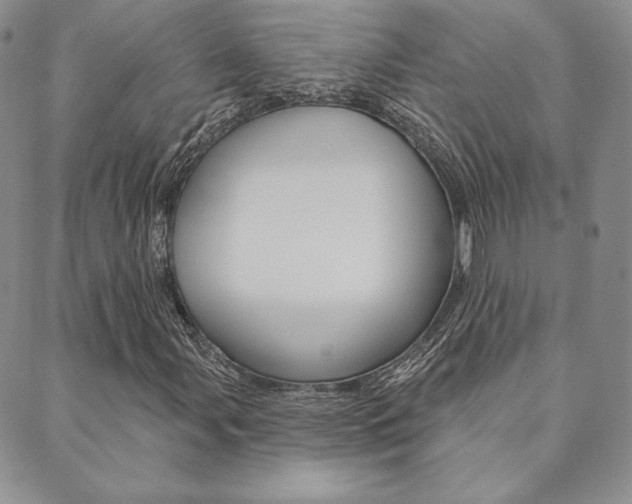 X0000089861107200706281002
