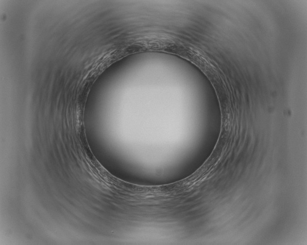 X0000089861108200706281002