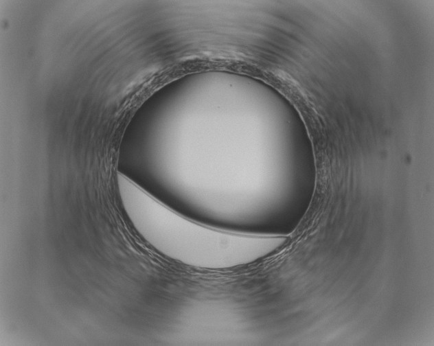 X0000089861110200706281002