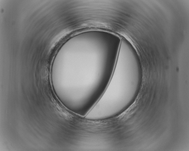 X0000089861115200706281002