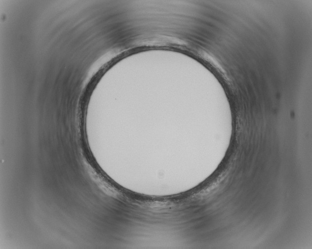 X0000089861122200706281002