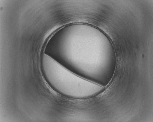 X0000089861127200706281002