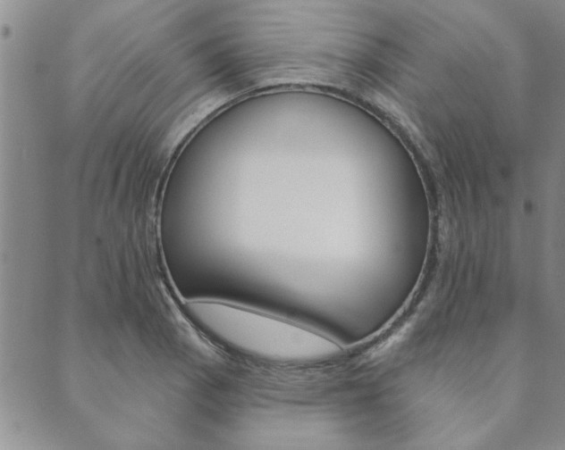 X0000089861129200706281003
