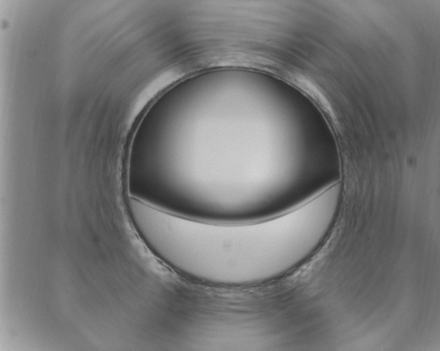 X0000089861138200706281003