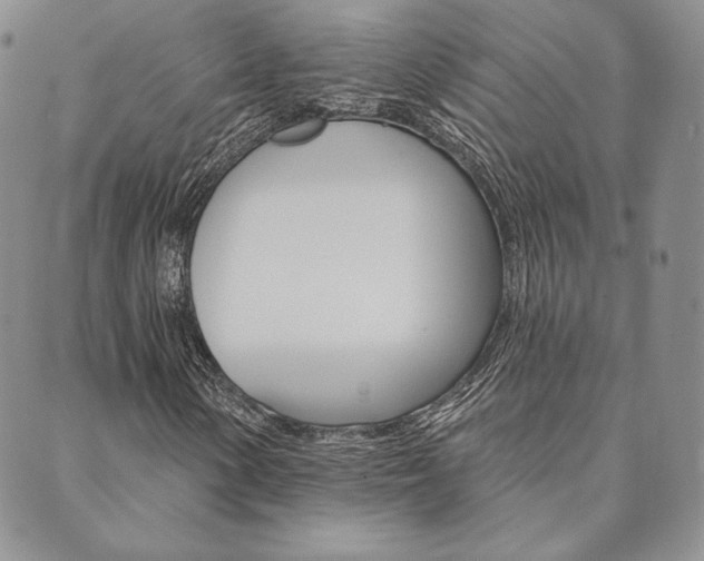 X0000089861154200706281002