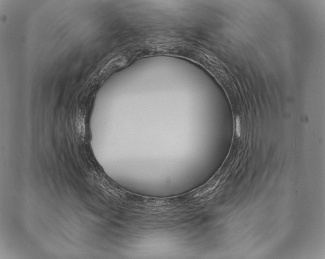 X0000089861155200706281002