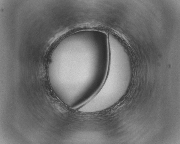X0000089861160200706281002