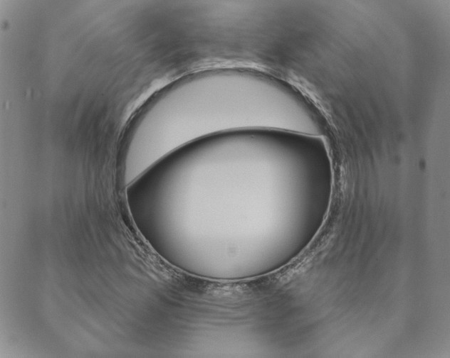 X0000089861165200706281002