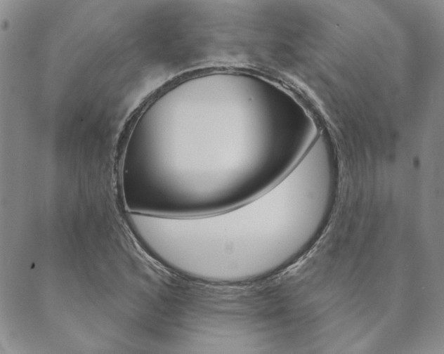 X0000089861168200706281002