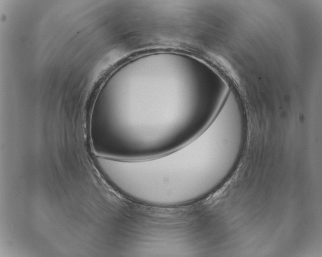 X0000089861172200706281002