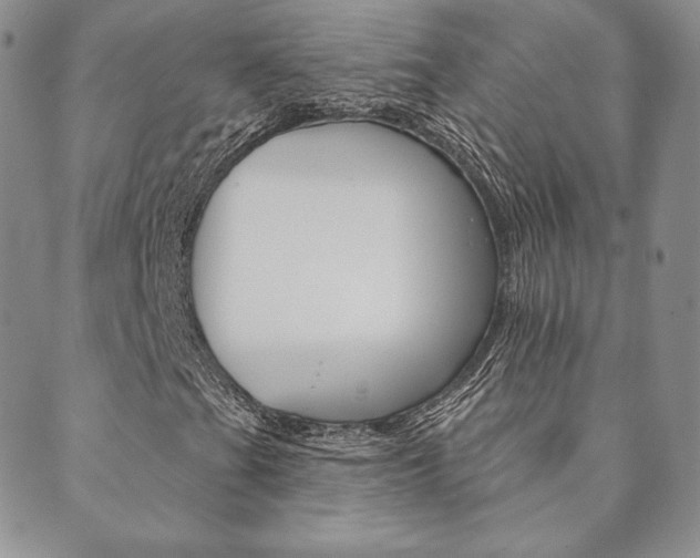 X0000089861201200706281001