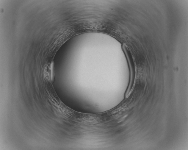 X0000089861202200706281001