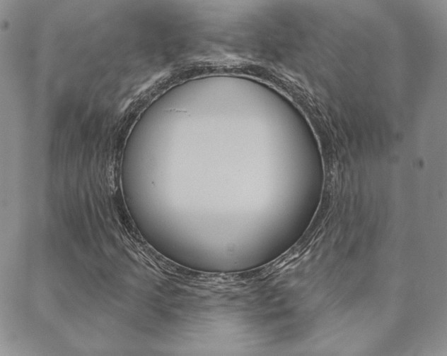 X0000089861205200706281001