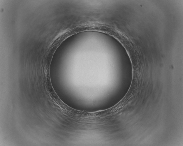 X0000089861206200706281001