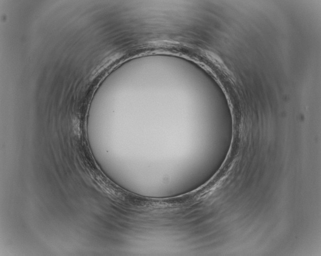 X0000089861209200706281001