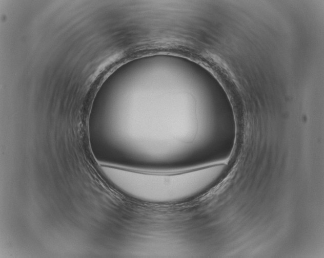 X0000089861210200706281001