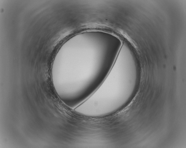 X0000089861213200706281001