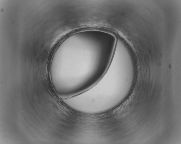 X0000089861214200706281001