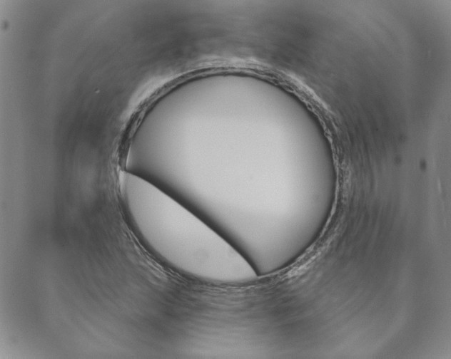 X0000089861215200706281001