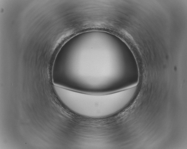X0000089861218200706281001