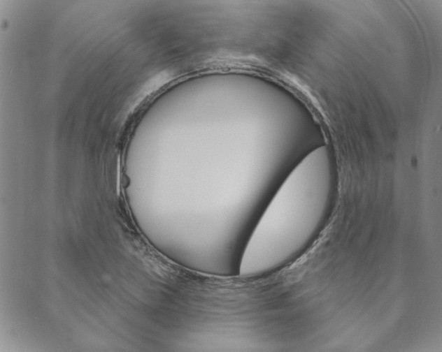 X0000089861219200706281001