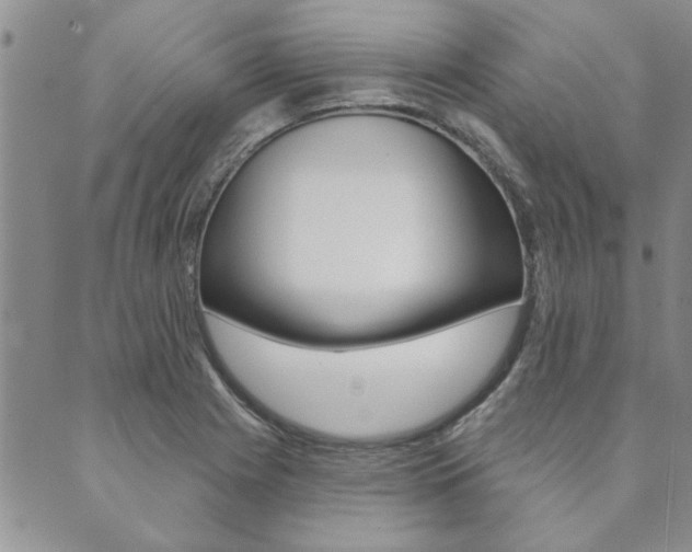 X0000089861225200706281001