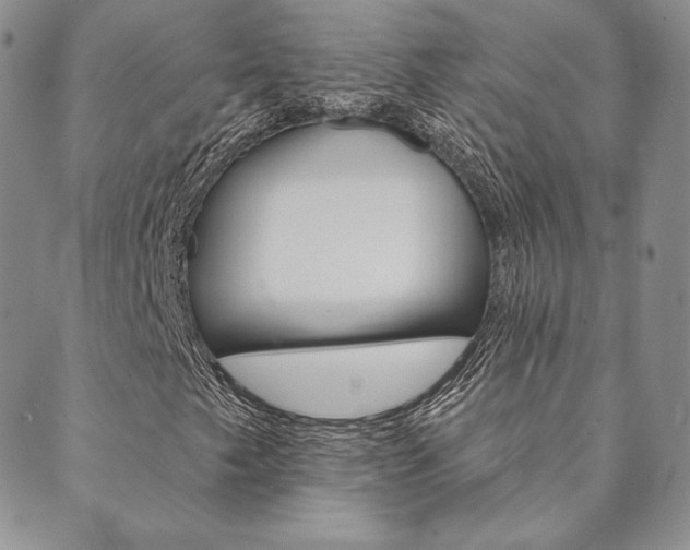 X0000089861249200706281001