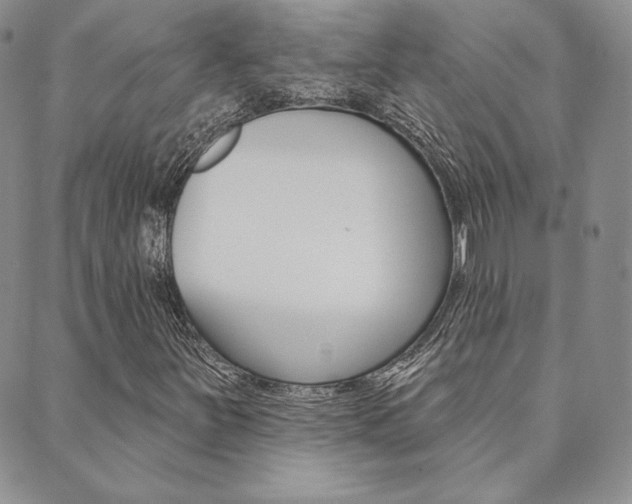 X0000089861251200706281001