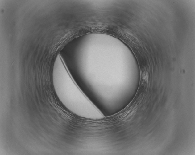 X0000089861252200706281000