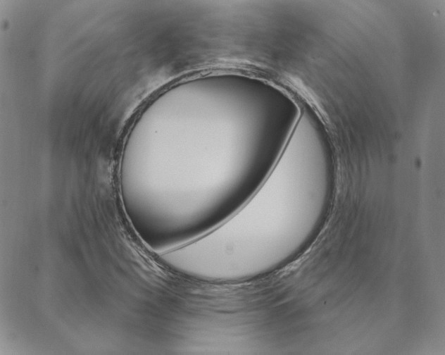 X0000089861260200706281000