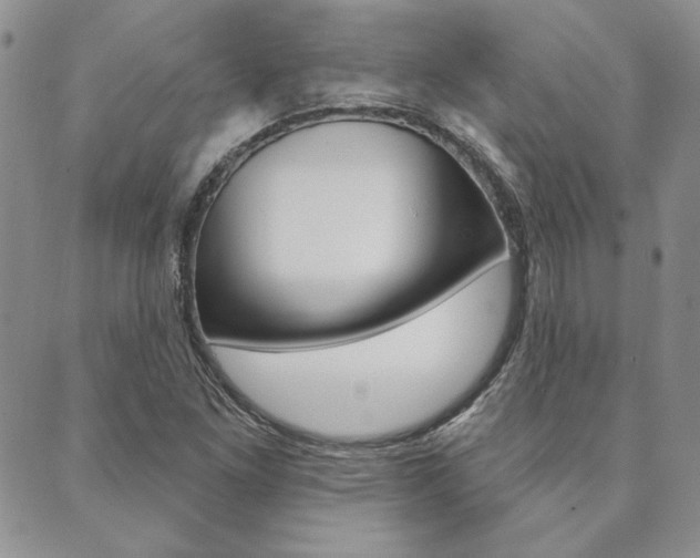 X0000089861261200706281000