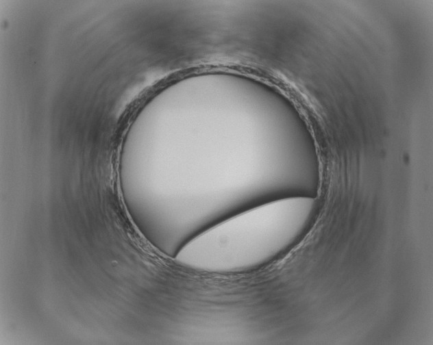 X0000089861262200706281000