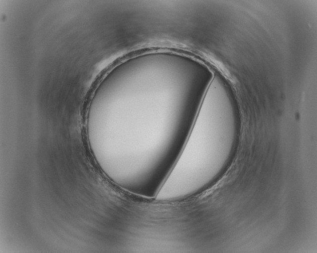 X0000089861264200706281000