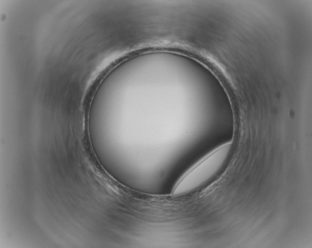 X0000089861270200706281000