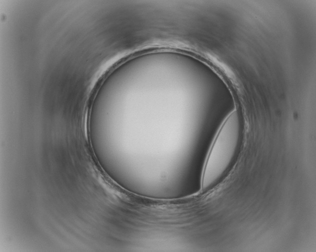 X0000089861272200706281000