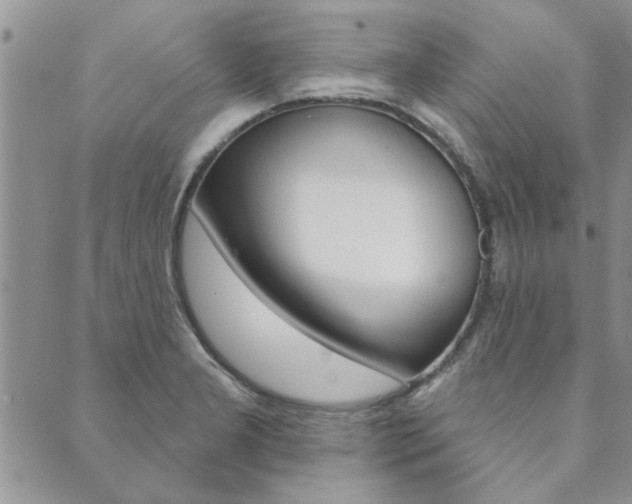 X0000089861277200706281000