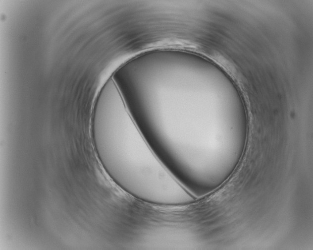 X0000089861296200706281000