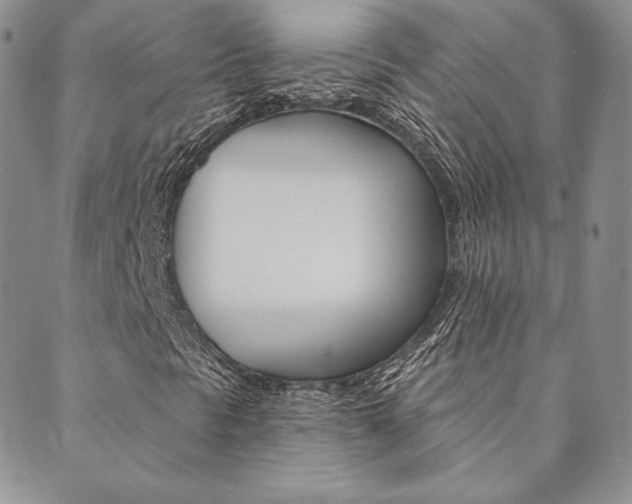 X0000089861297200706280959